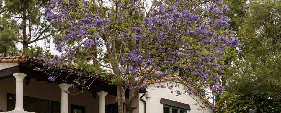 El Encanto- 33