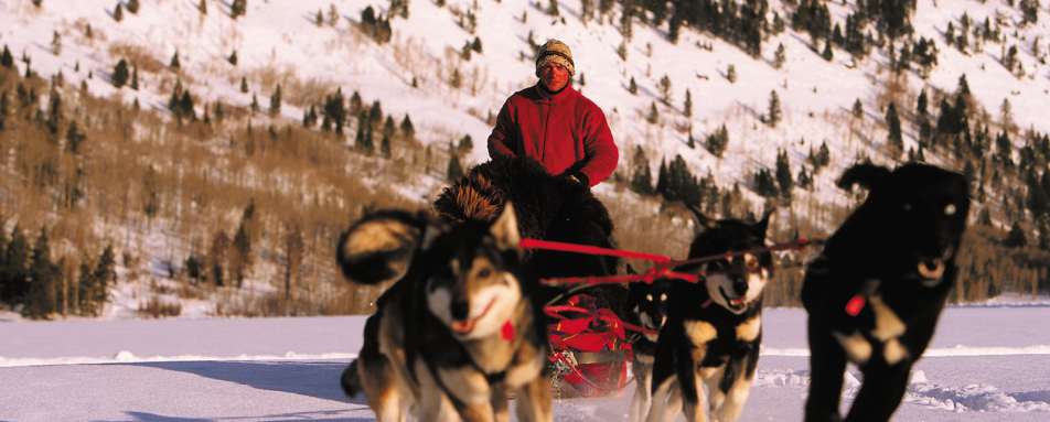 Four Seasons Jackson Hole - dog sledding