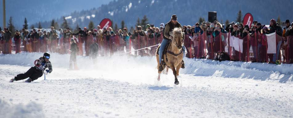 Skijoring - Jackson Hole
