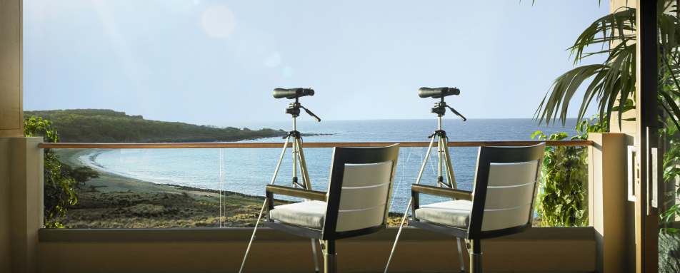 Four Seasons Resort Lanai- 94