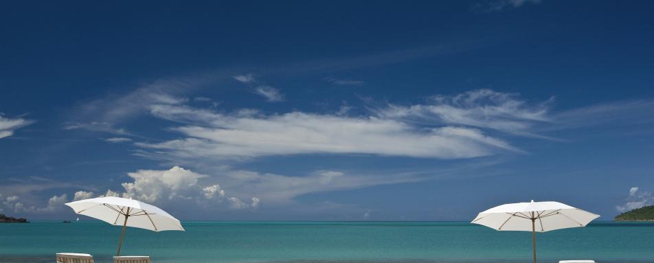 Hermitage Bay- 91