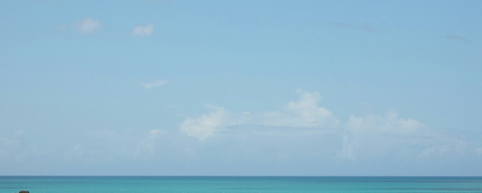 Hermitage Bay- 56