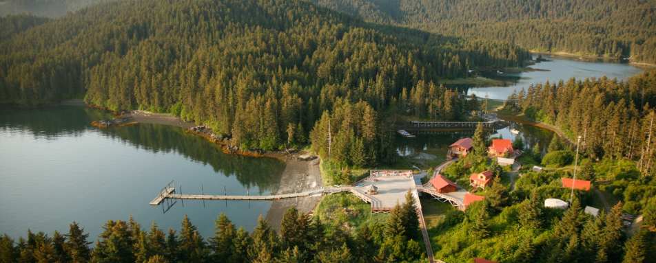 Aerial Views