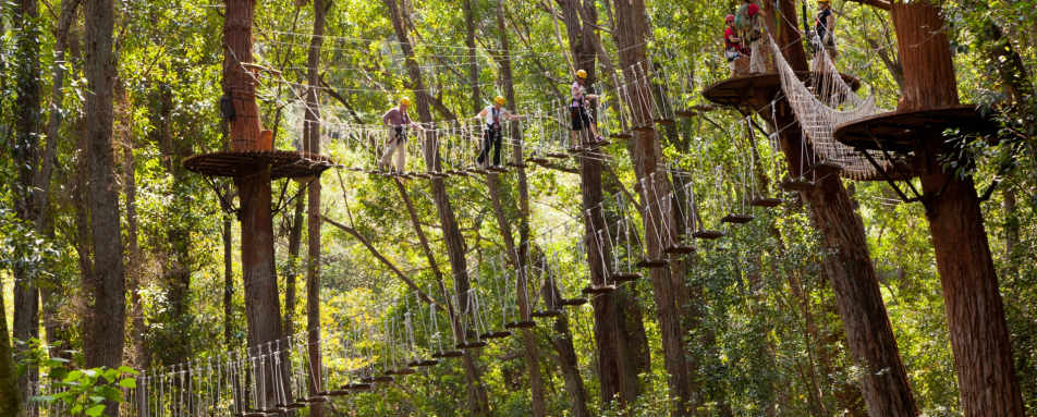 Kohala Zip and Dip Tour