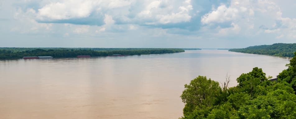 Mississippi River Eco Safari Natchez