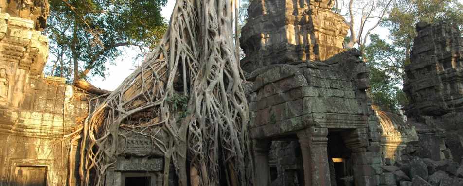 Ta Phrom - Treasures of Indochina