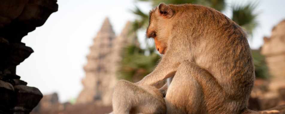 Siem Reap - Treasures of Indochina