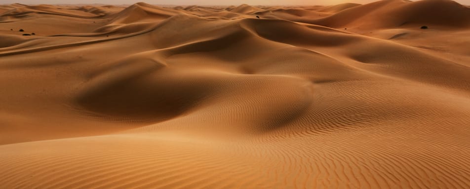 Sand Dunes 
