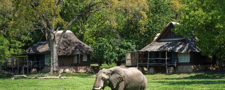 Mfuwe Lodge- 15