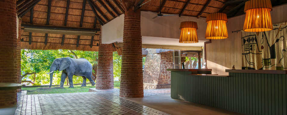 Mfuwe Lodge- 16