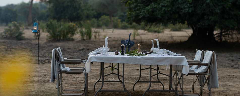 Sausage Tree Camp- 28