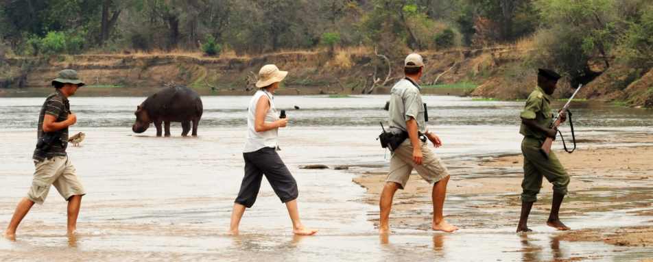 Crossing the Luangwa River 