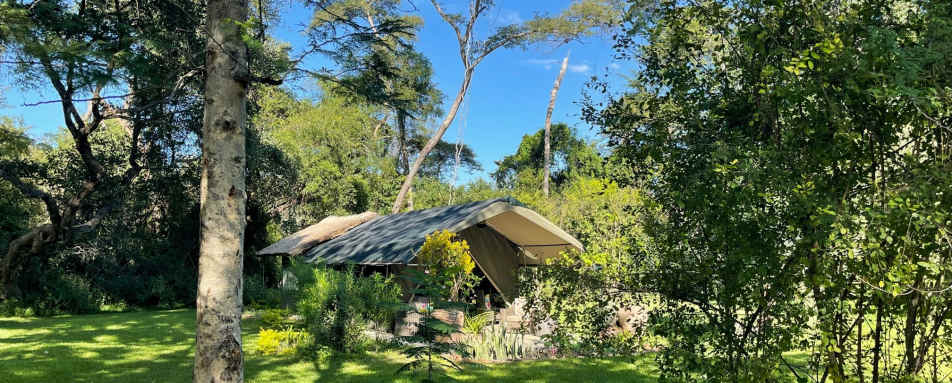 Waterberry Zambezi Lodge- 32
