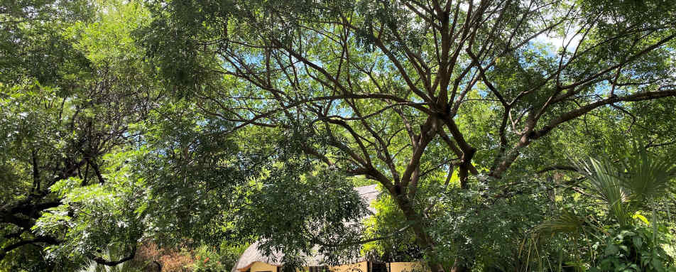 Waterberry Zambezi Lodge- 27