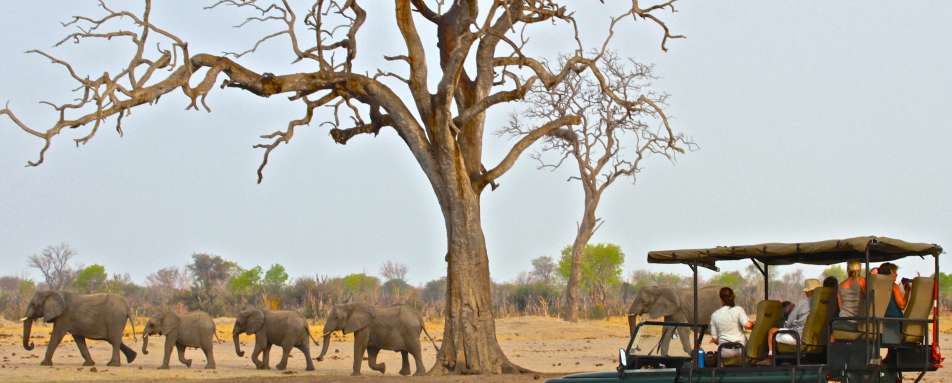 Bomani Tented Lodge- 37