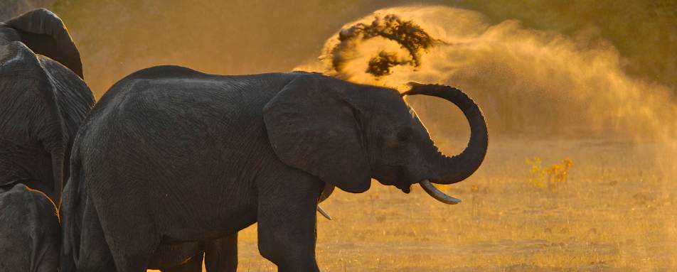 Bomani Tented Lodge- 29