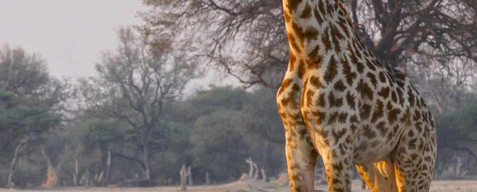 Bomani Tented Lodge- 30