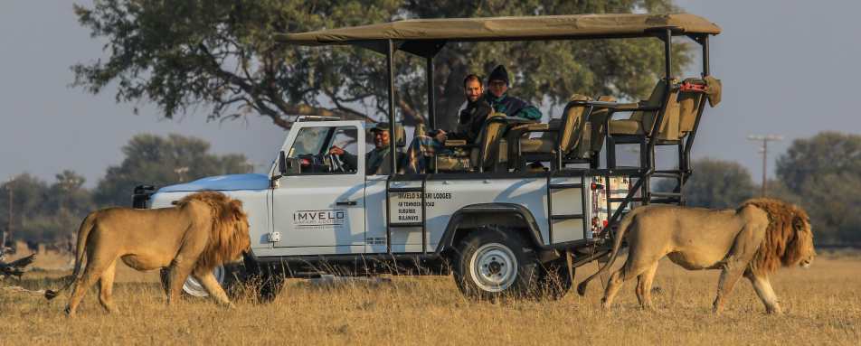 Bomani Tented Lodge- 35