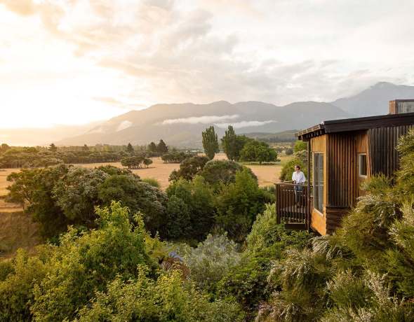 Hapuku Lodge and Tree Houses