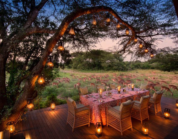 &amp;Beyond Phinda Vlei Lodge