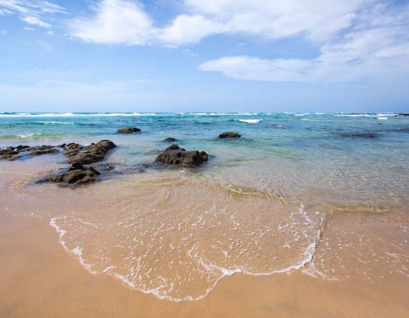 Thonga Beach Lodge
