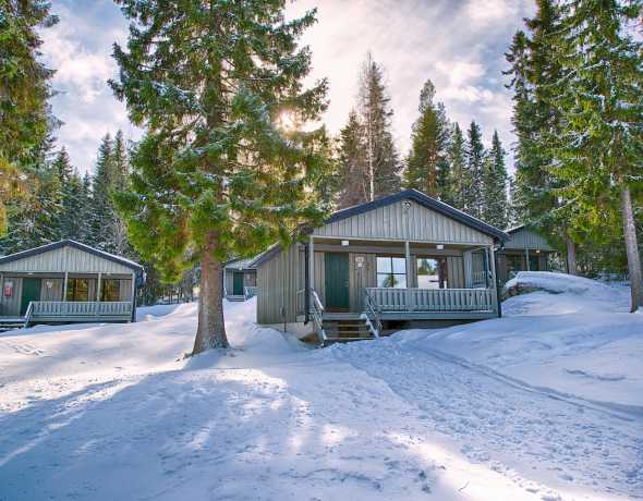 Brandon Lodge