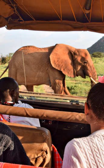 A child taking a picture on safari
