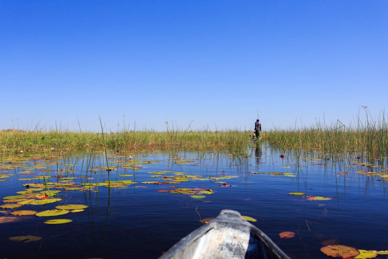Delta - Okavango Delta and Moremi