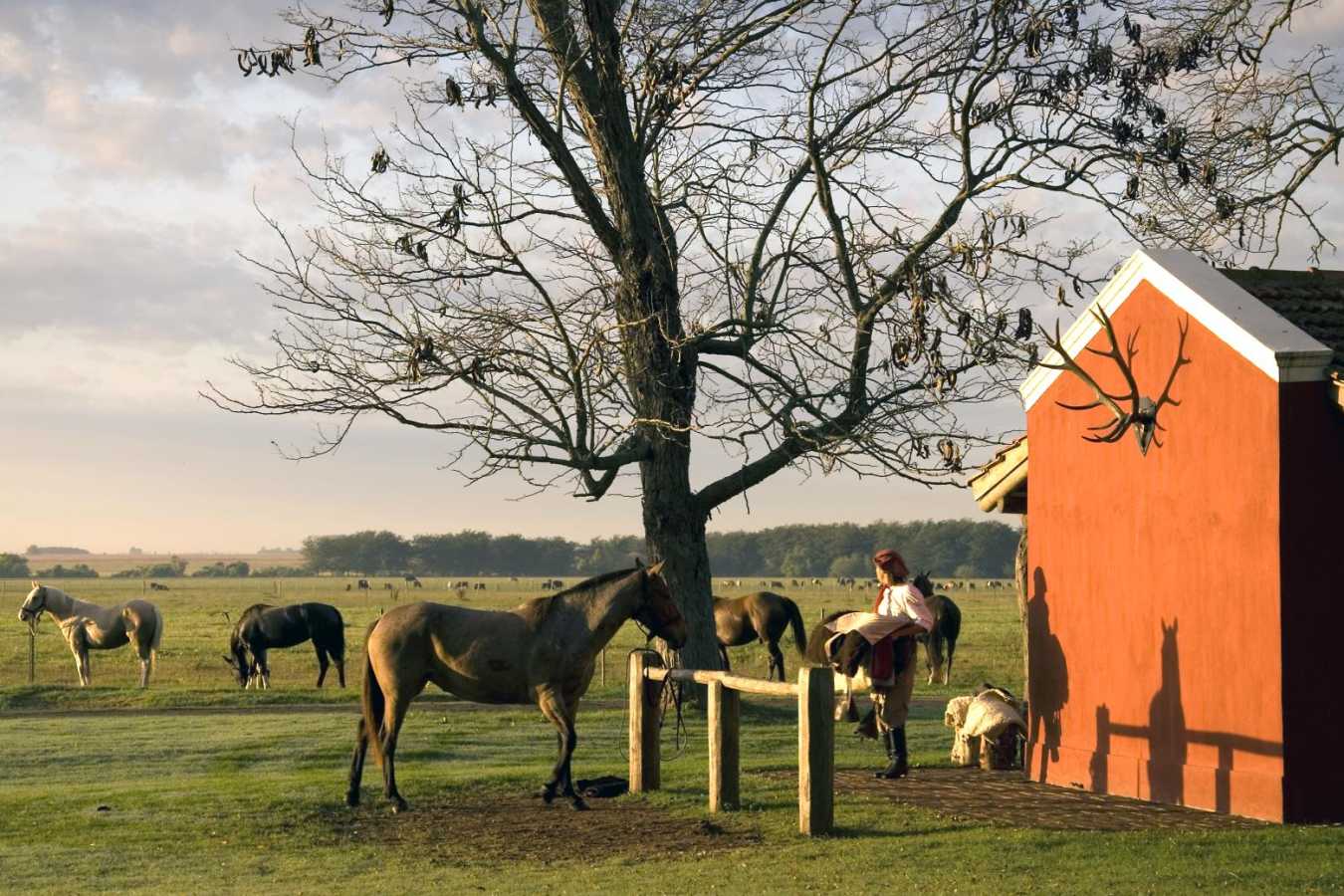 Saddling up the horses - Estancia La Bamba