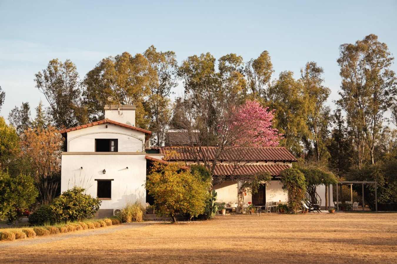 Finca Valentina- 17
