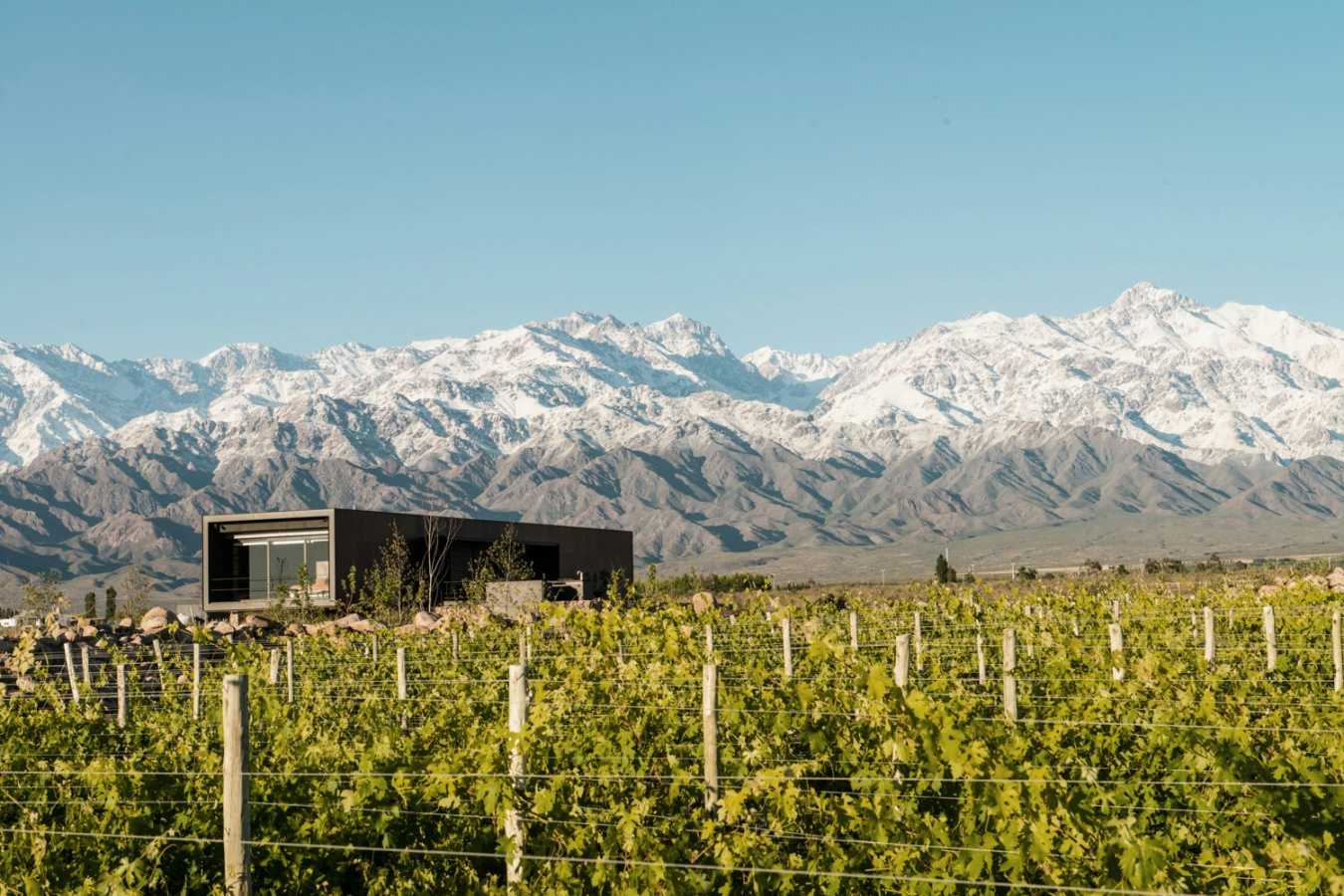 The Vines Resort & Spa- 89