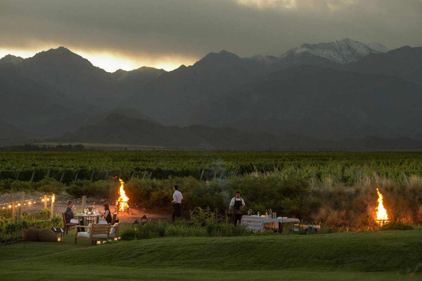 The Vines Resort & Spa- 36