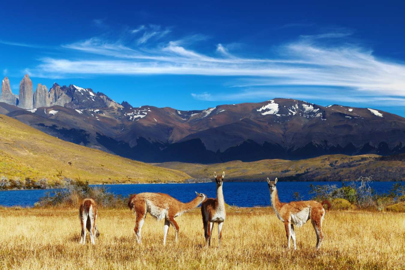 Chilean Patagonia 