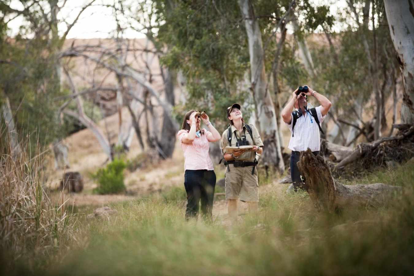 Bird watching - Arkaba