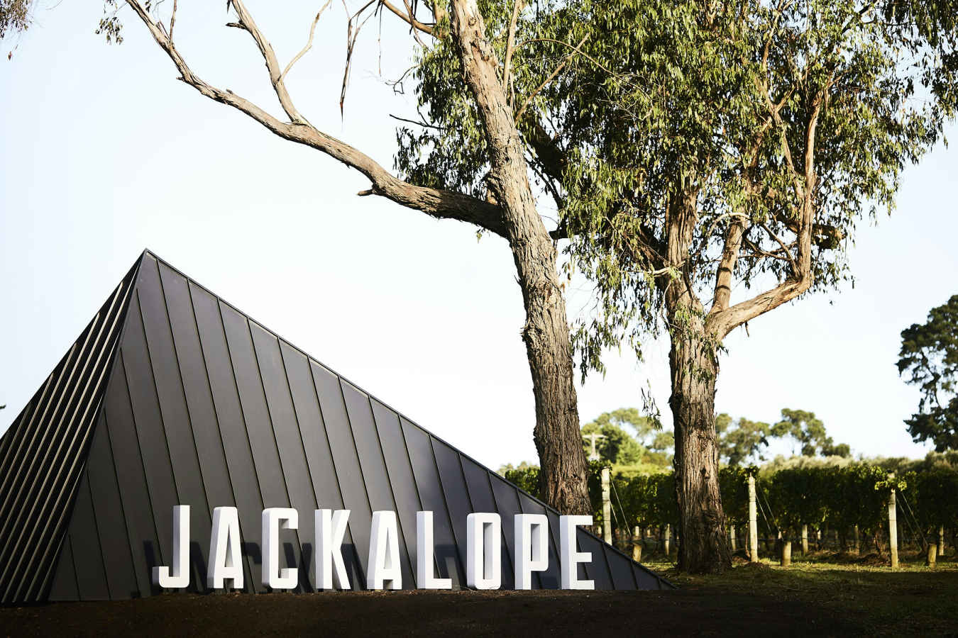 Jackalope Hotel- 25