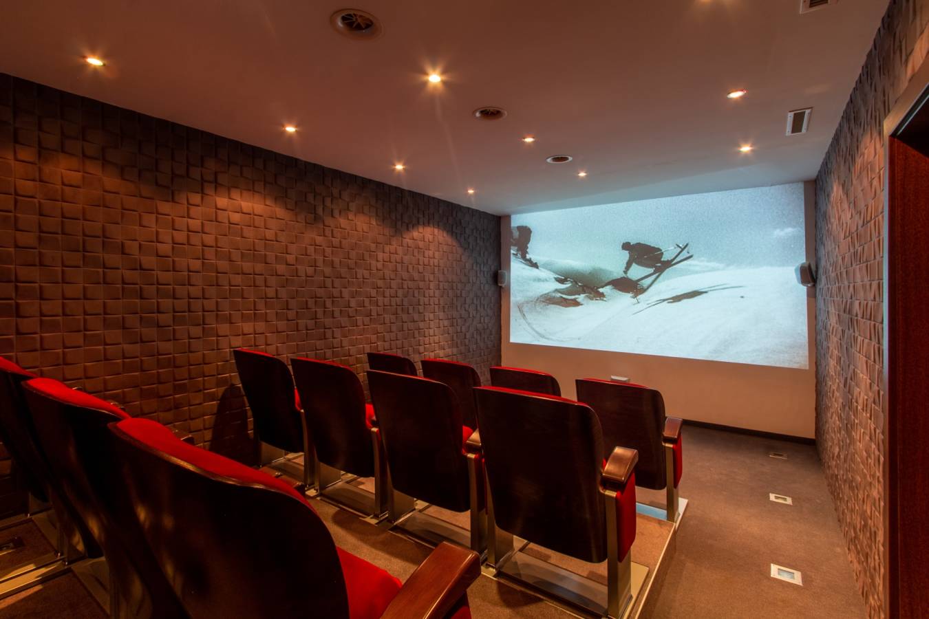 Cinema - Chalet Artemis 