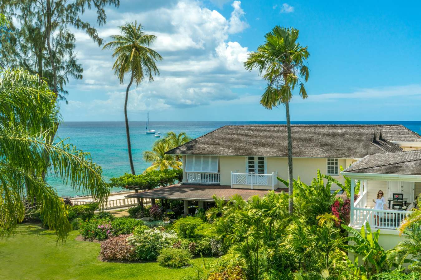 Coral Reef Club- 66