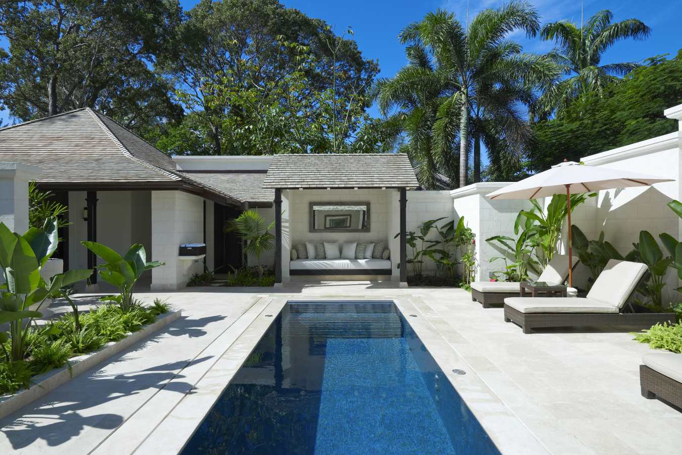 Coral Reef Club- 56