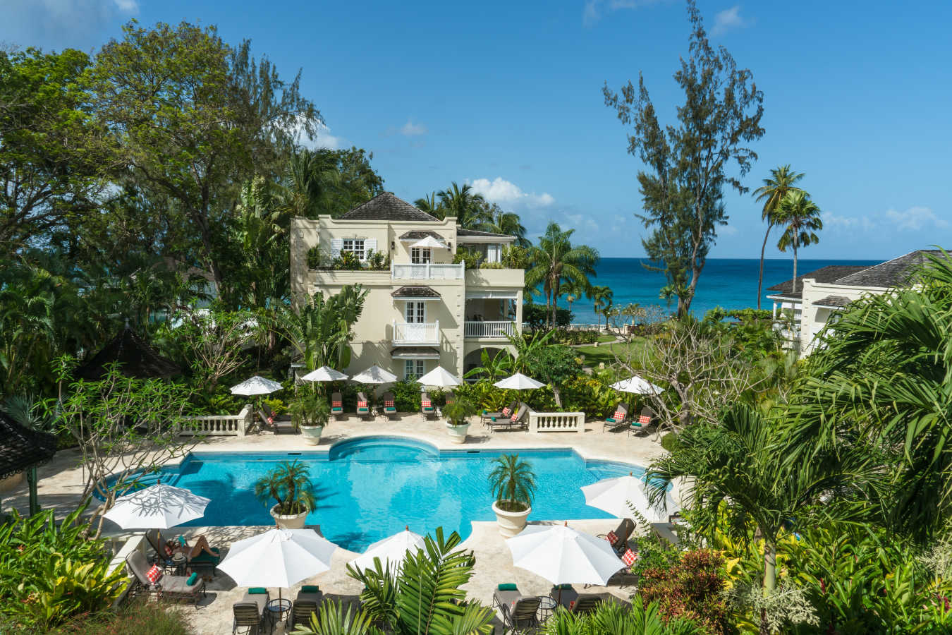 Coral Reef Club- 44