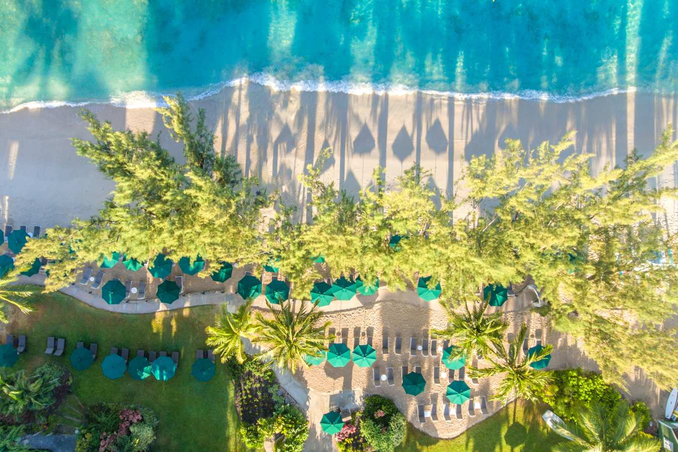 Coral Reef Club- 37
