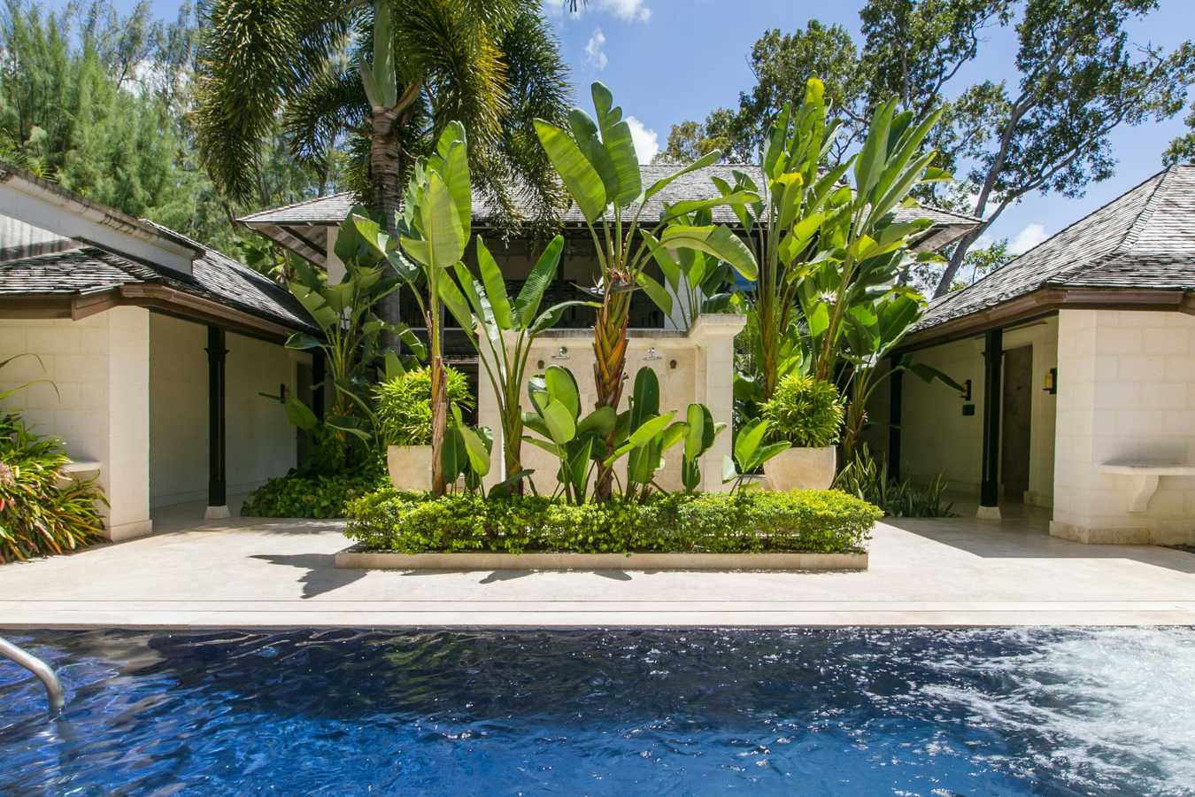 Coral Reef Club- 53
