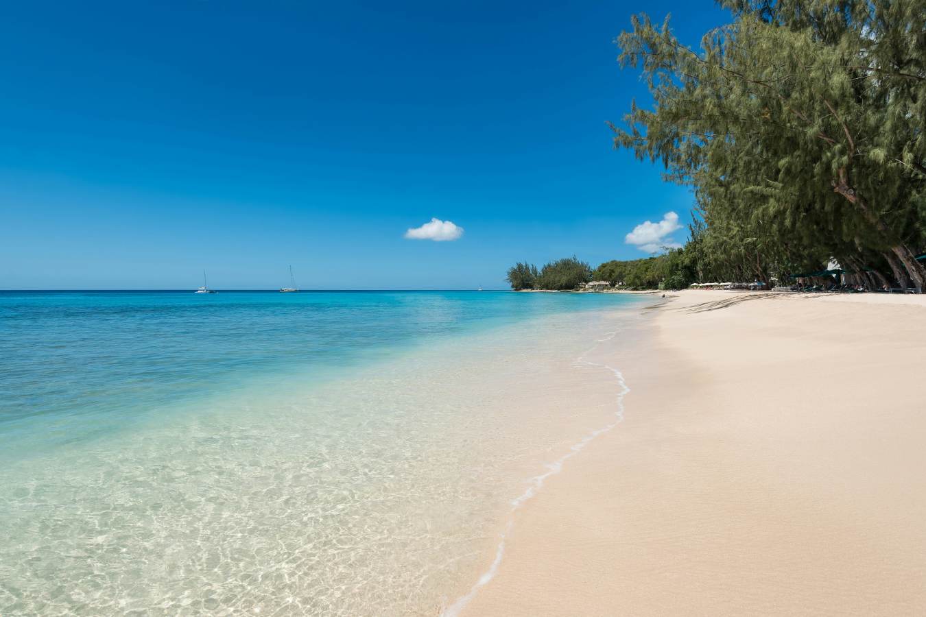 Coral Reef Club- 42