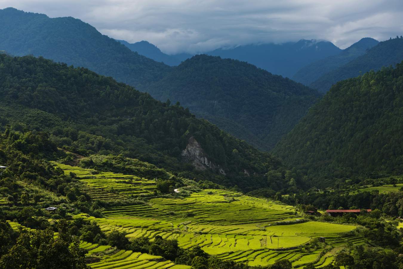 COMO Uma Punakha- 32