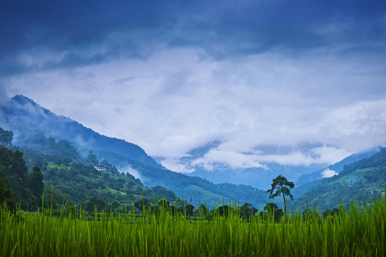 COMO Uma Punakha- 62