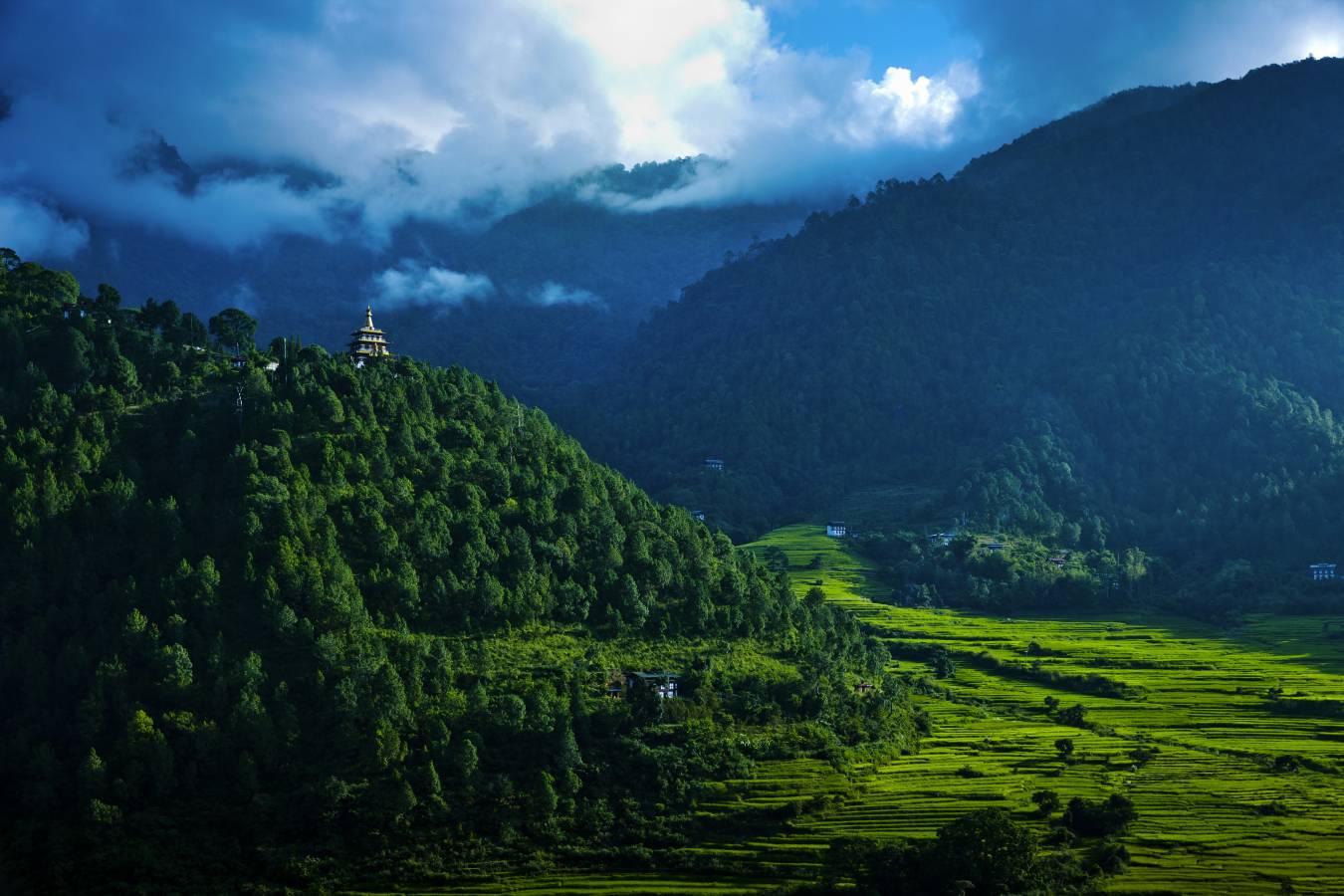 COMO Uma Punakha- 60