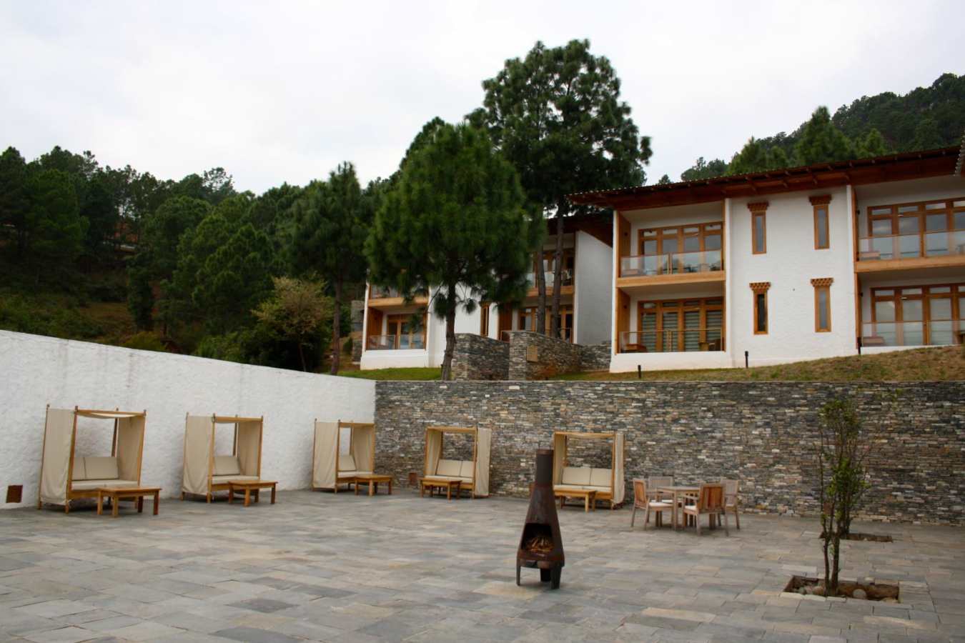 Dhensa - Dhensa