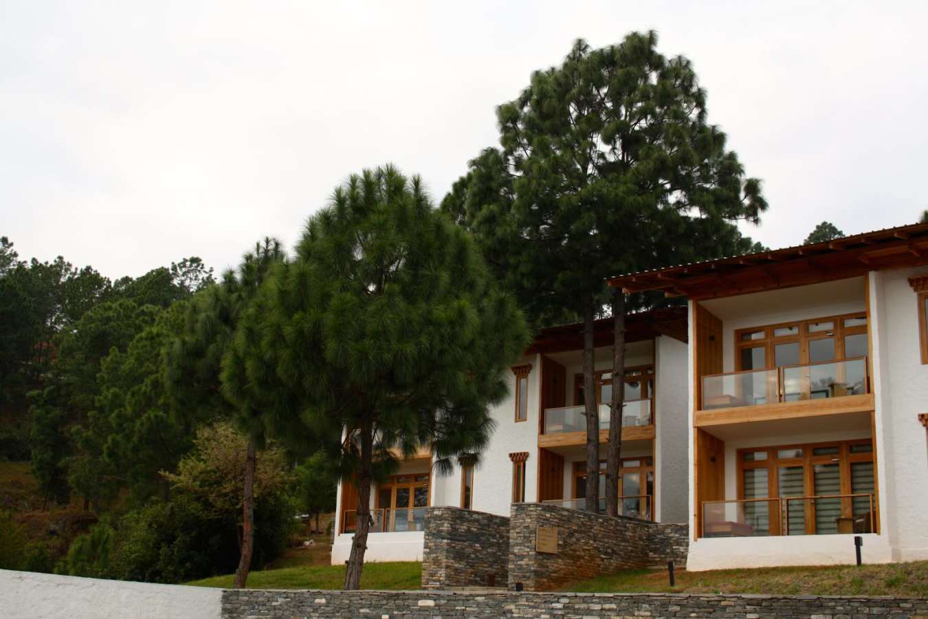 Dhensa - Dhensa