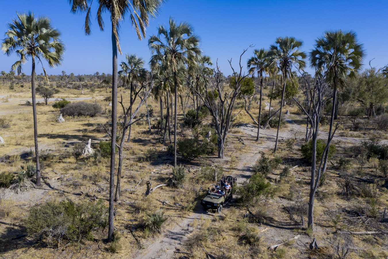 Gomoti Plains Camp- 13