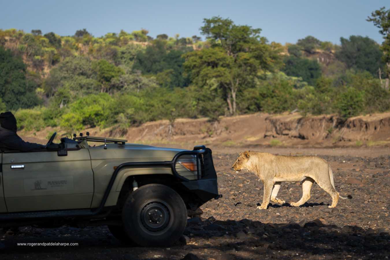 Mashatu Lodge- 23