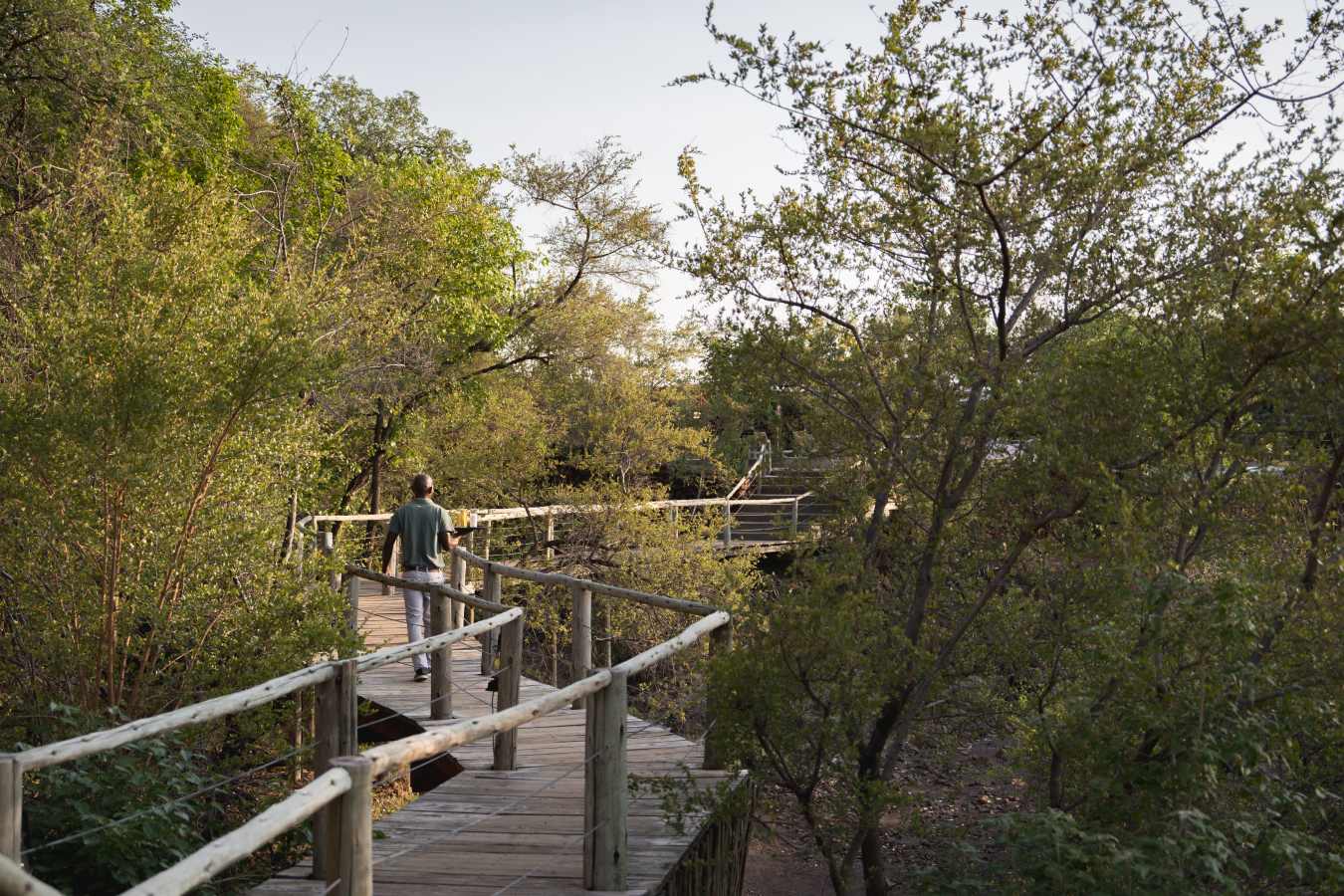 Mashatu Lodge- 9